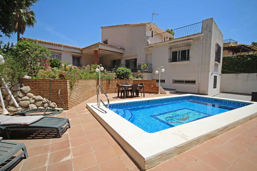 Camaleón GrupalMalaga