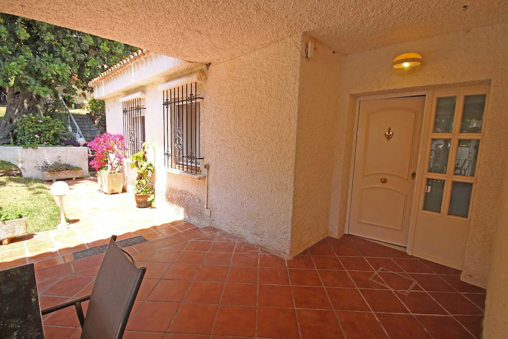 Camaleón GrupalMalaga