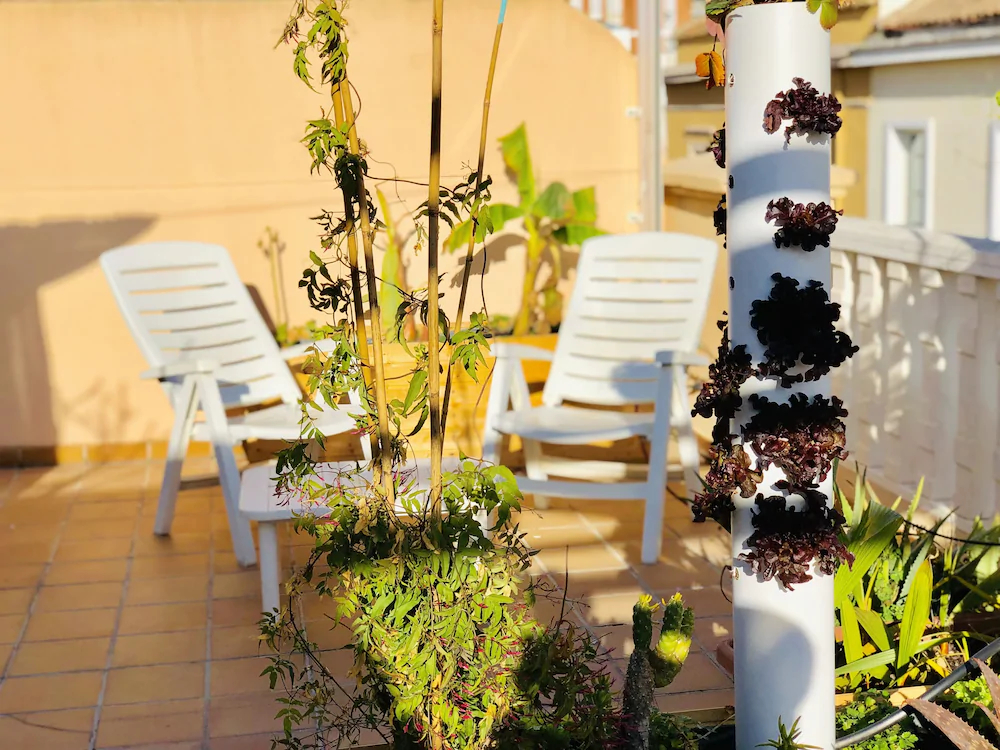 Chick Apartmant Malaga