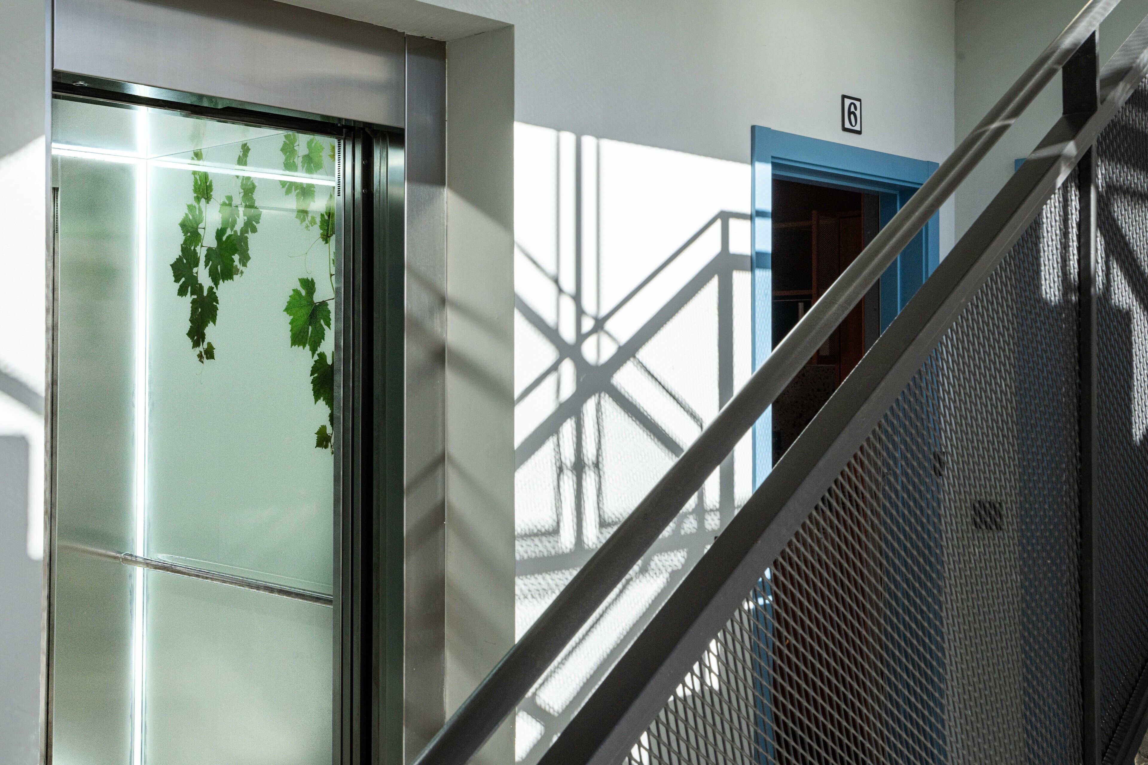 Coeo Apartments Parras