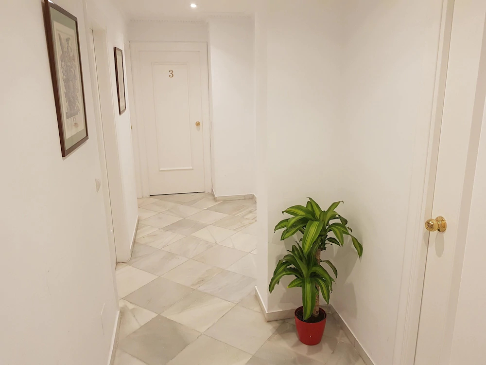 Fan Suites Duquesa