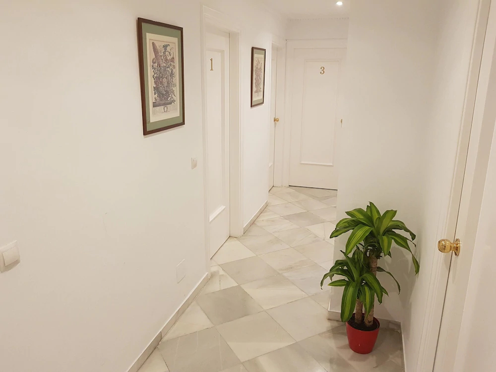 Fan Suites Duquesa