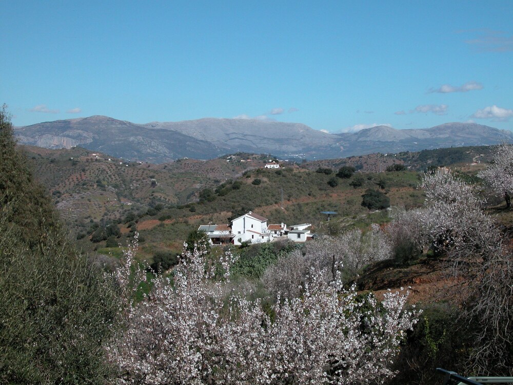 Finca Serrato