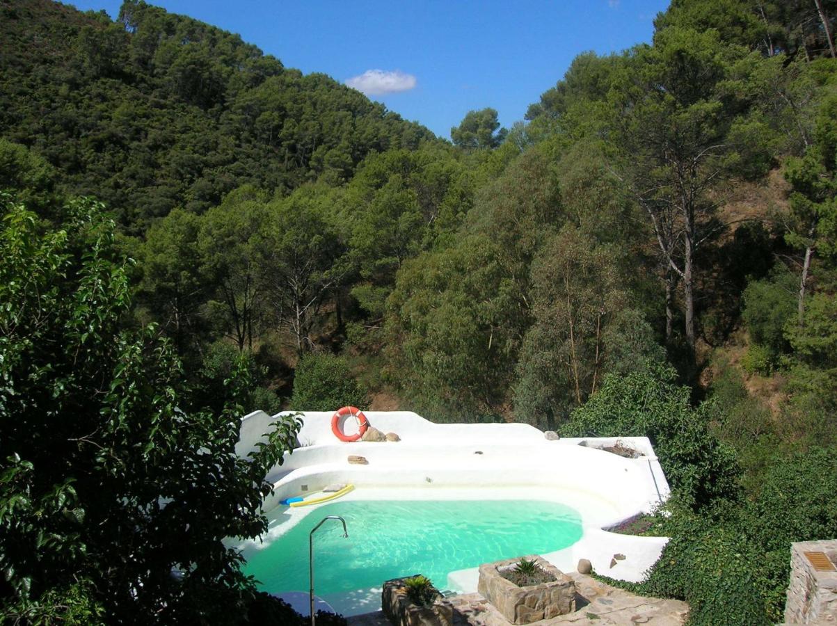Humaina
