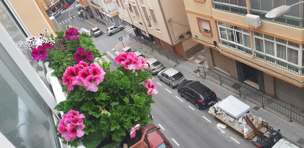 La Casa De La Abuela