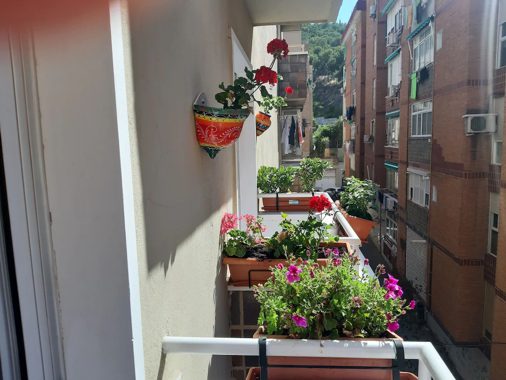 La Casa De La Abuela