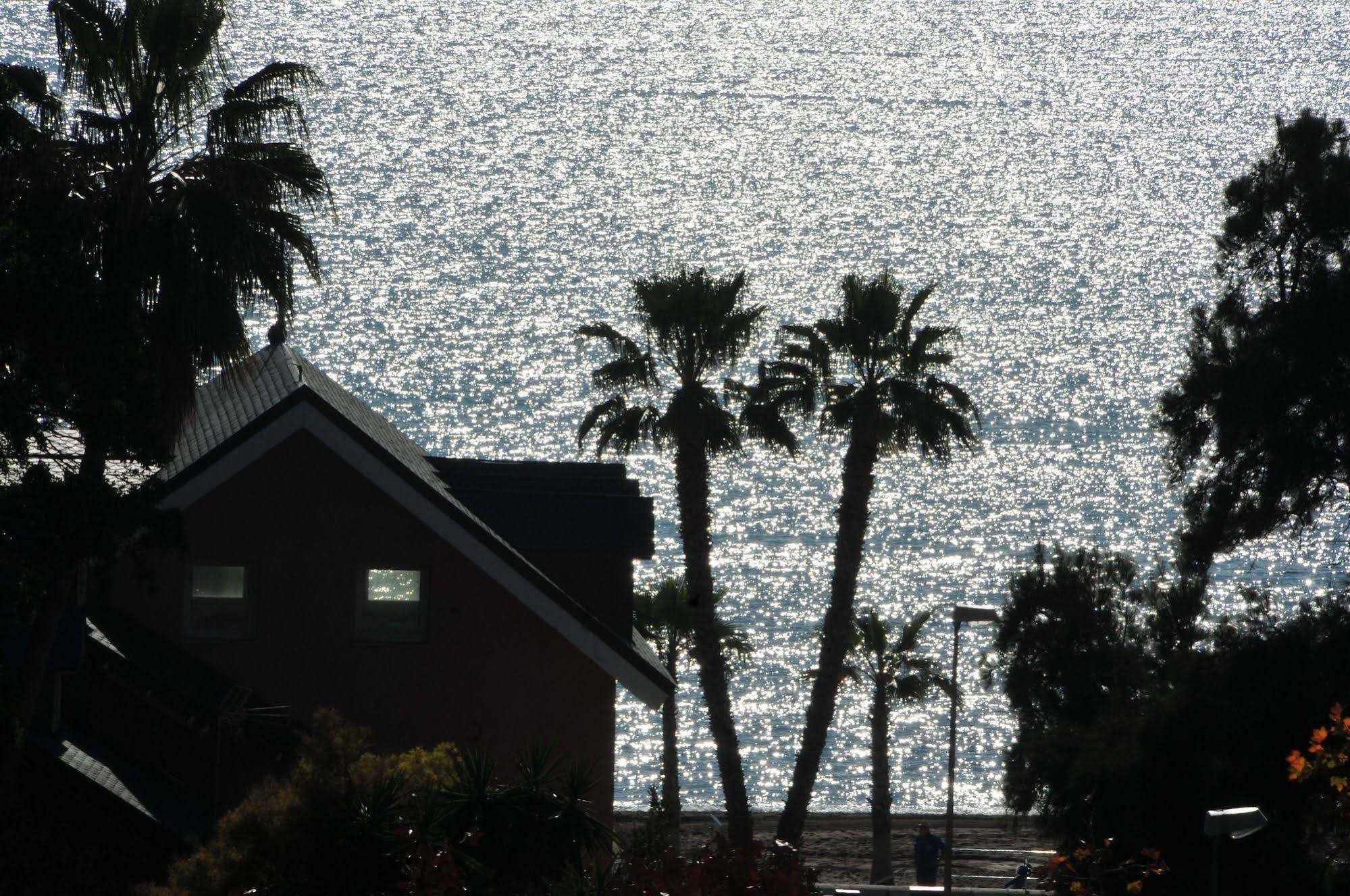 Terraza Del Limonar