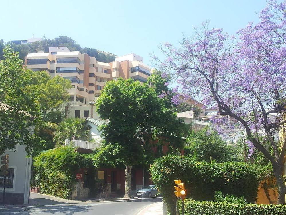 Terraza Del Limonar