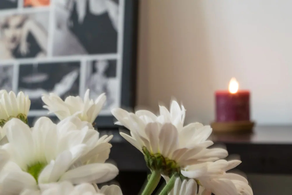 Malama Apartamentos Turisticos