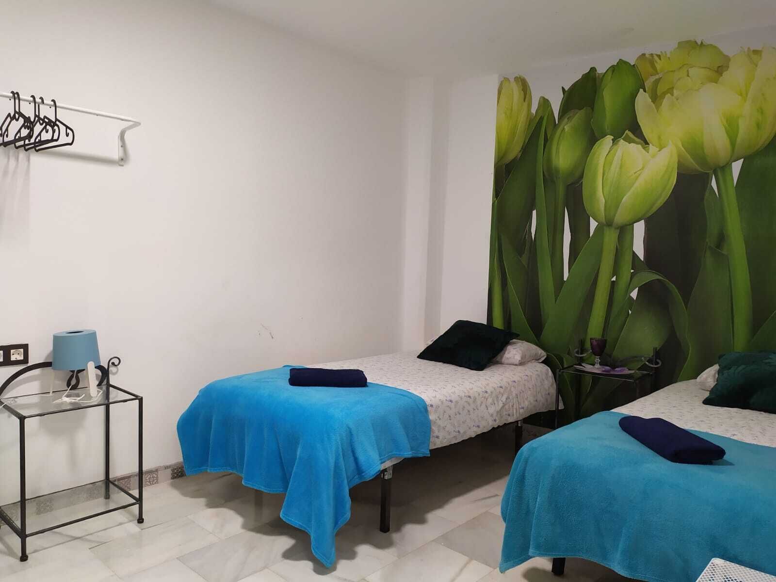 Málaga Centro Hostel