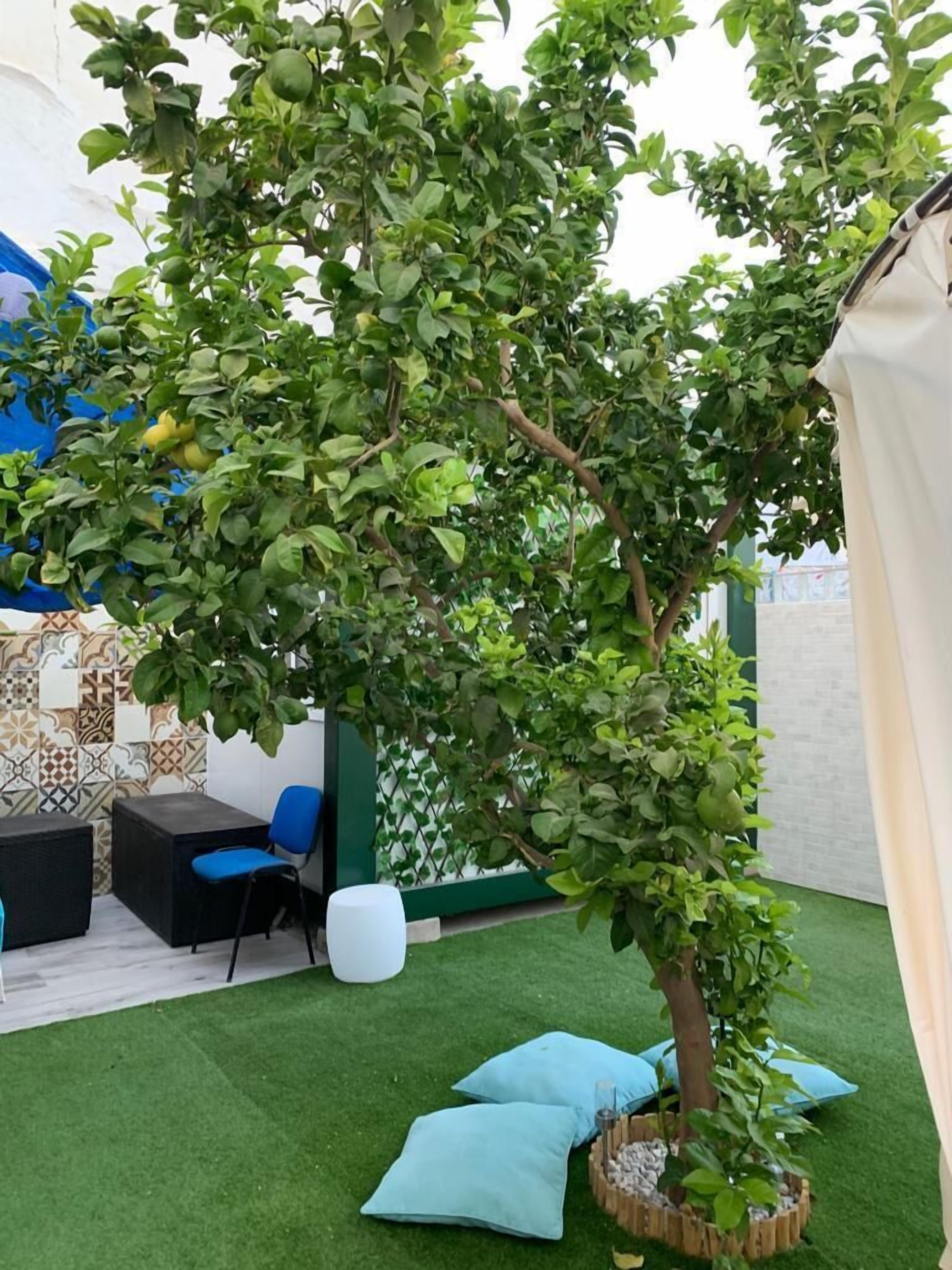 Málaga Centro Hostel