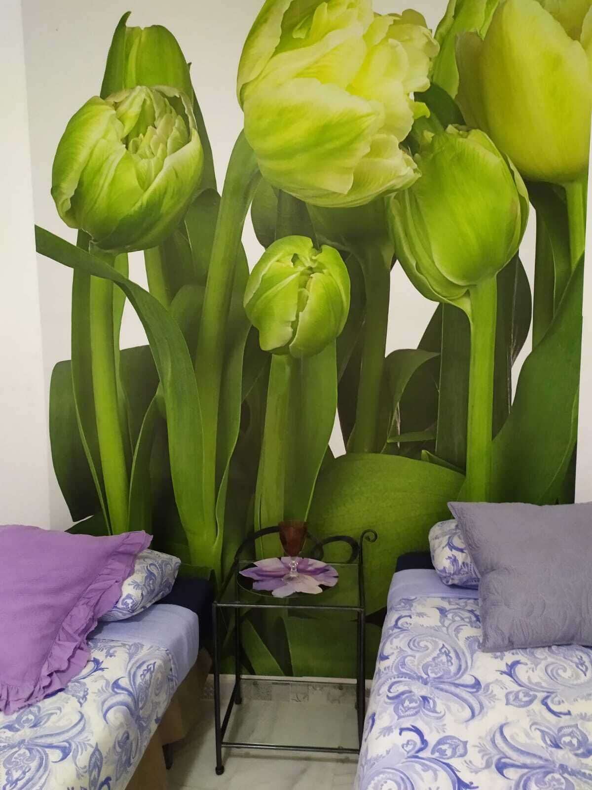 Málaga Centro Hostel