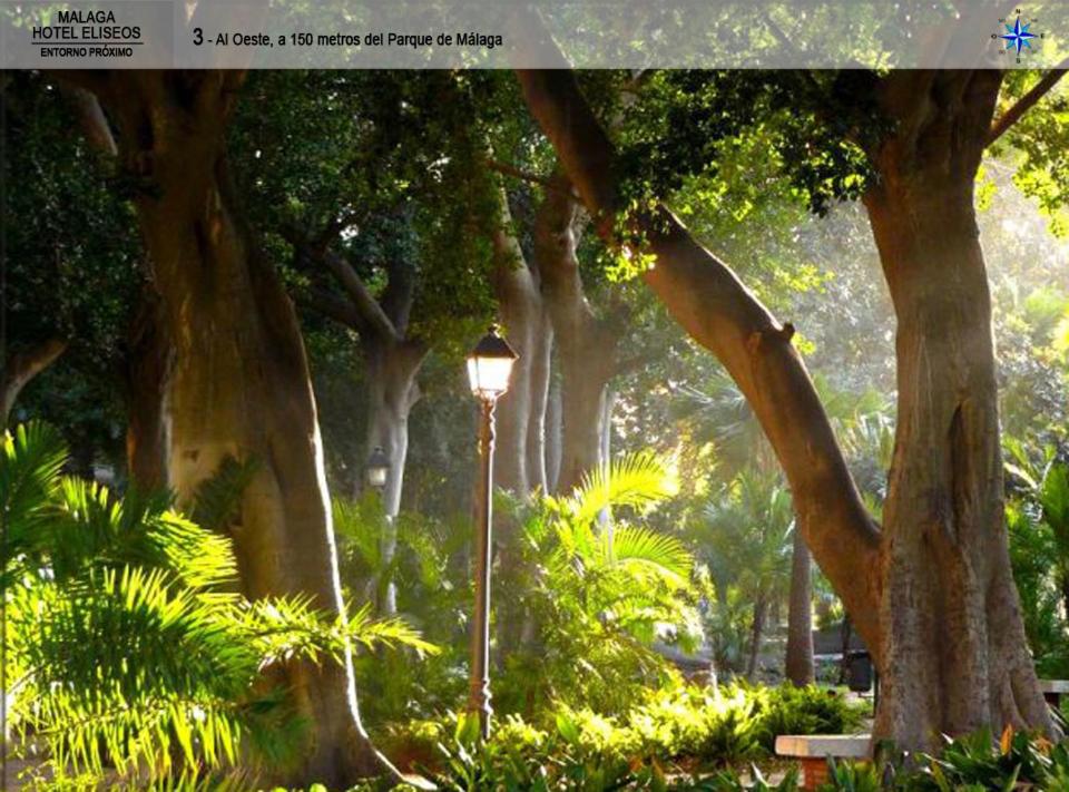 Málaga Hotel Eliseos