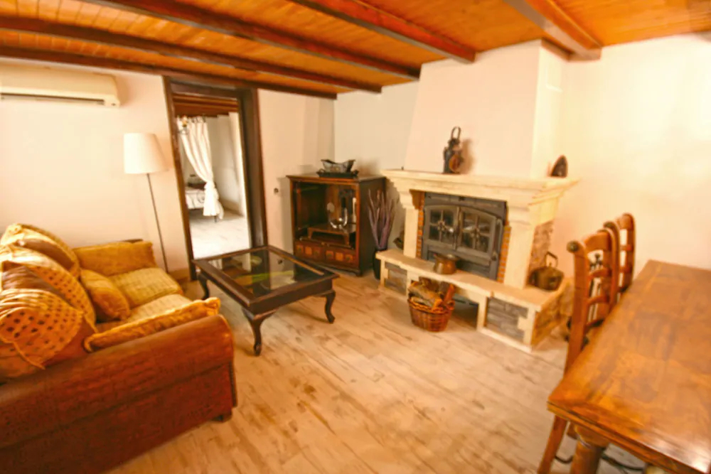 Palmeras Grupalmalaga