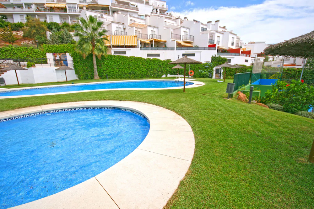 Palmeras Grupalmalaga