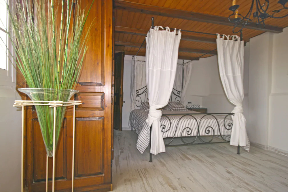 Palmeras Grupalmalaga