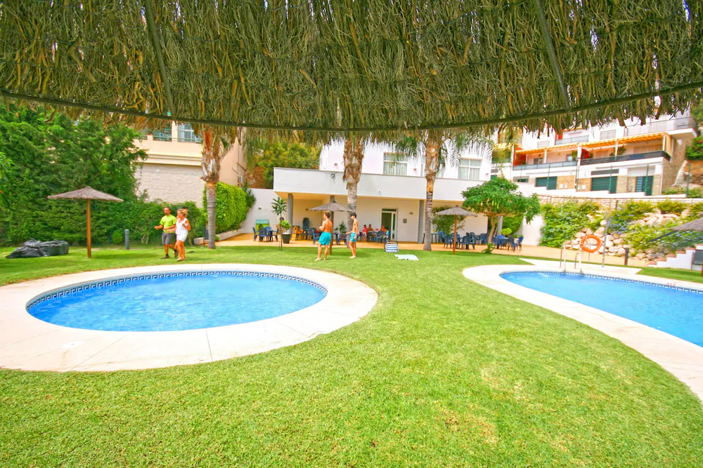 Palmeras Grupalmalaga
