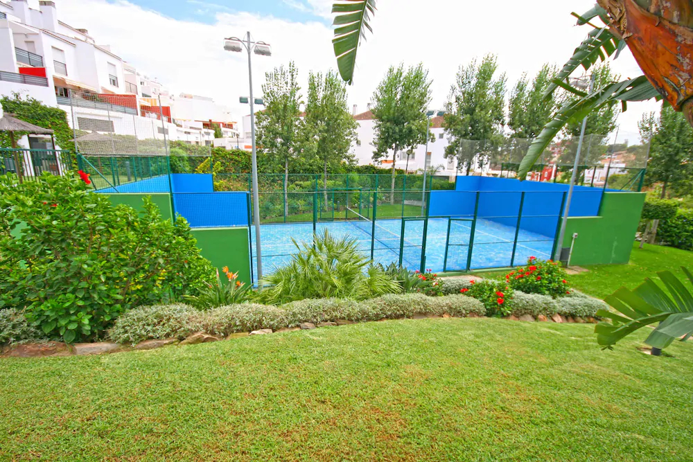 Palmeras Grupalmalaga