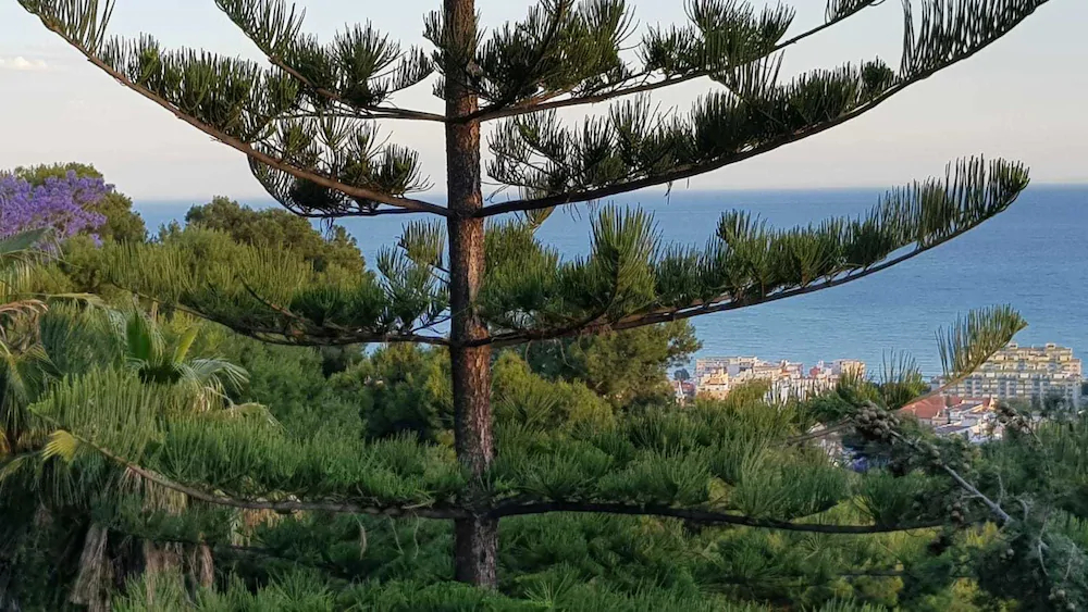 Rentcostadelsol Villa Pinares