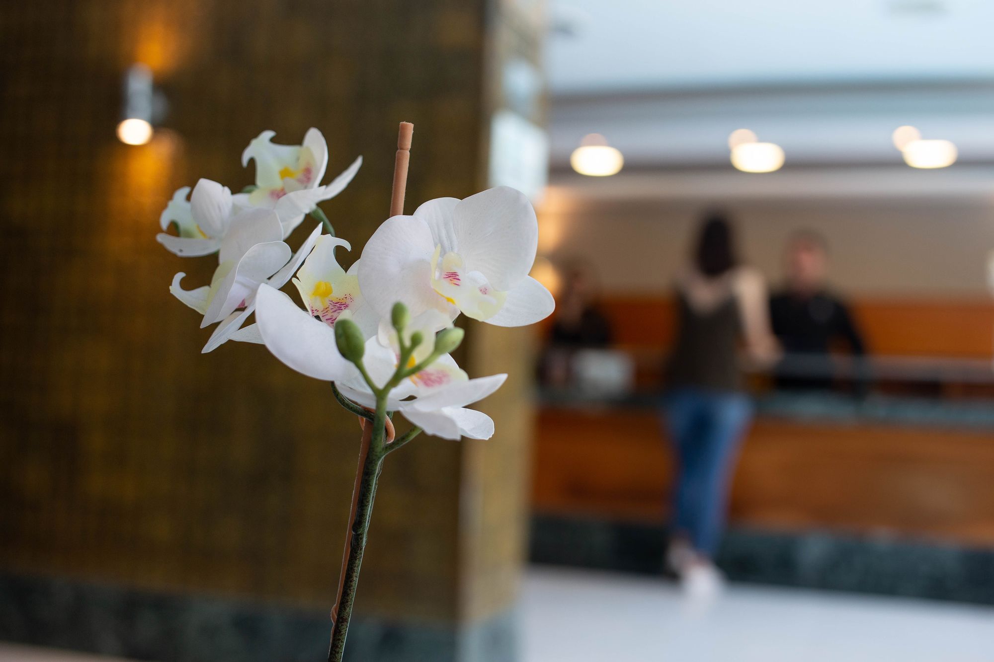 Hotel Soho Boutique Los Naranjos