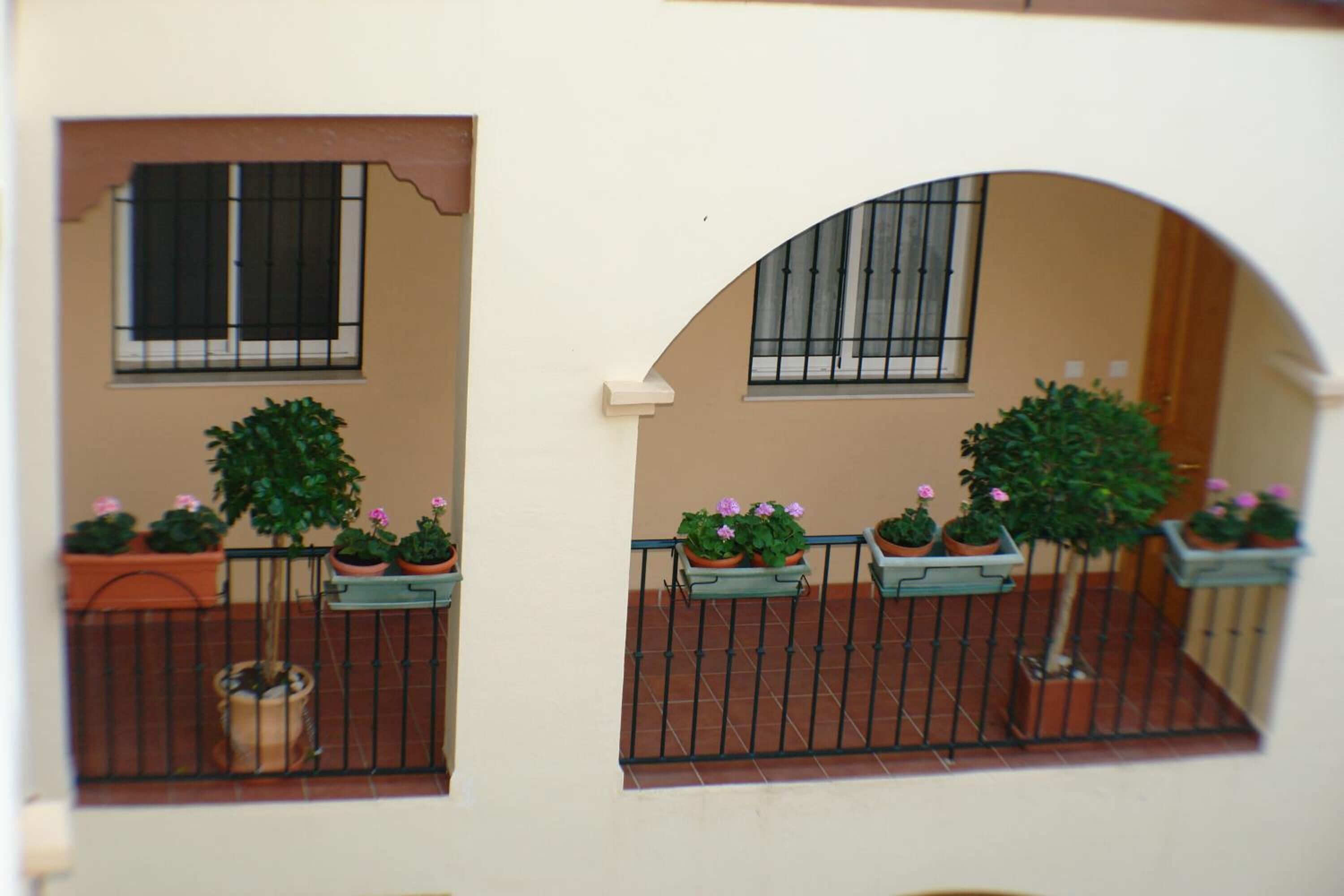 Carabeo 2000