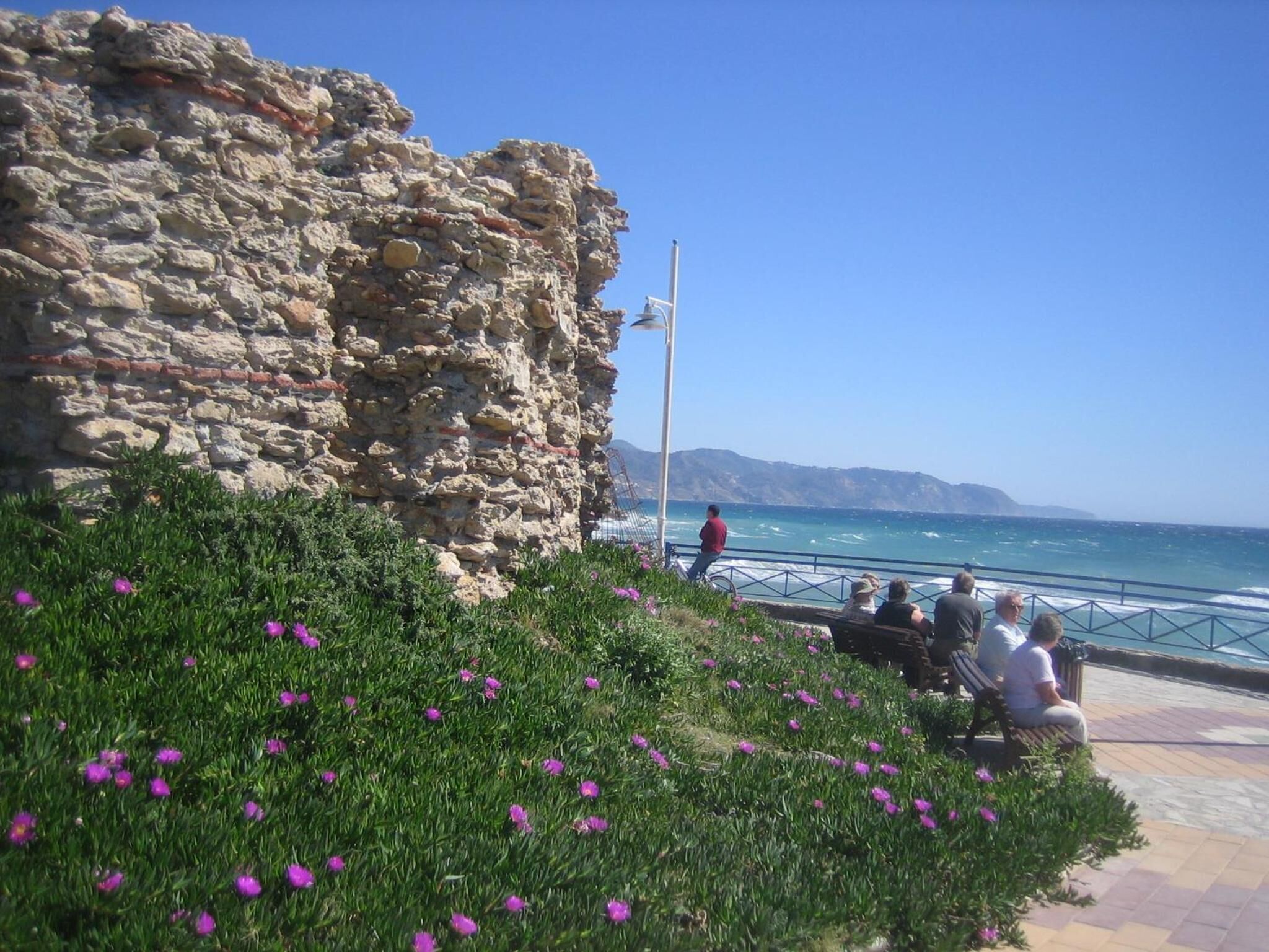 Carabeo 2000