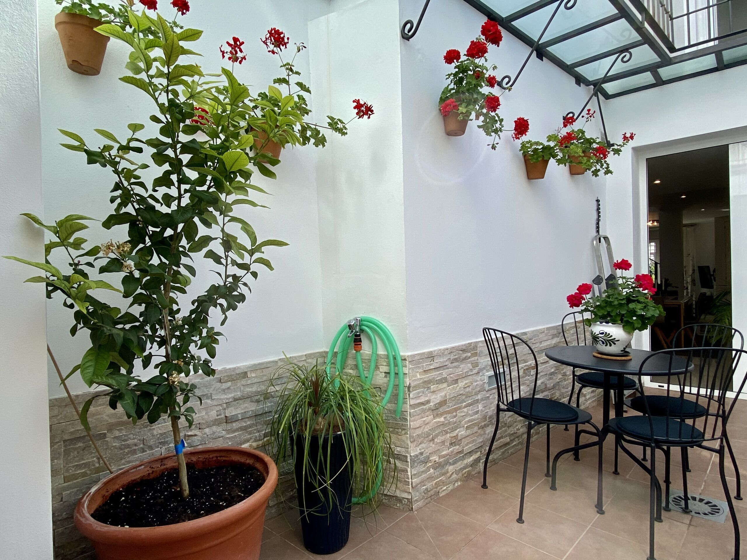 Casa Animas Casasol Centro