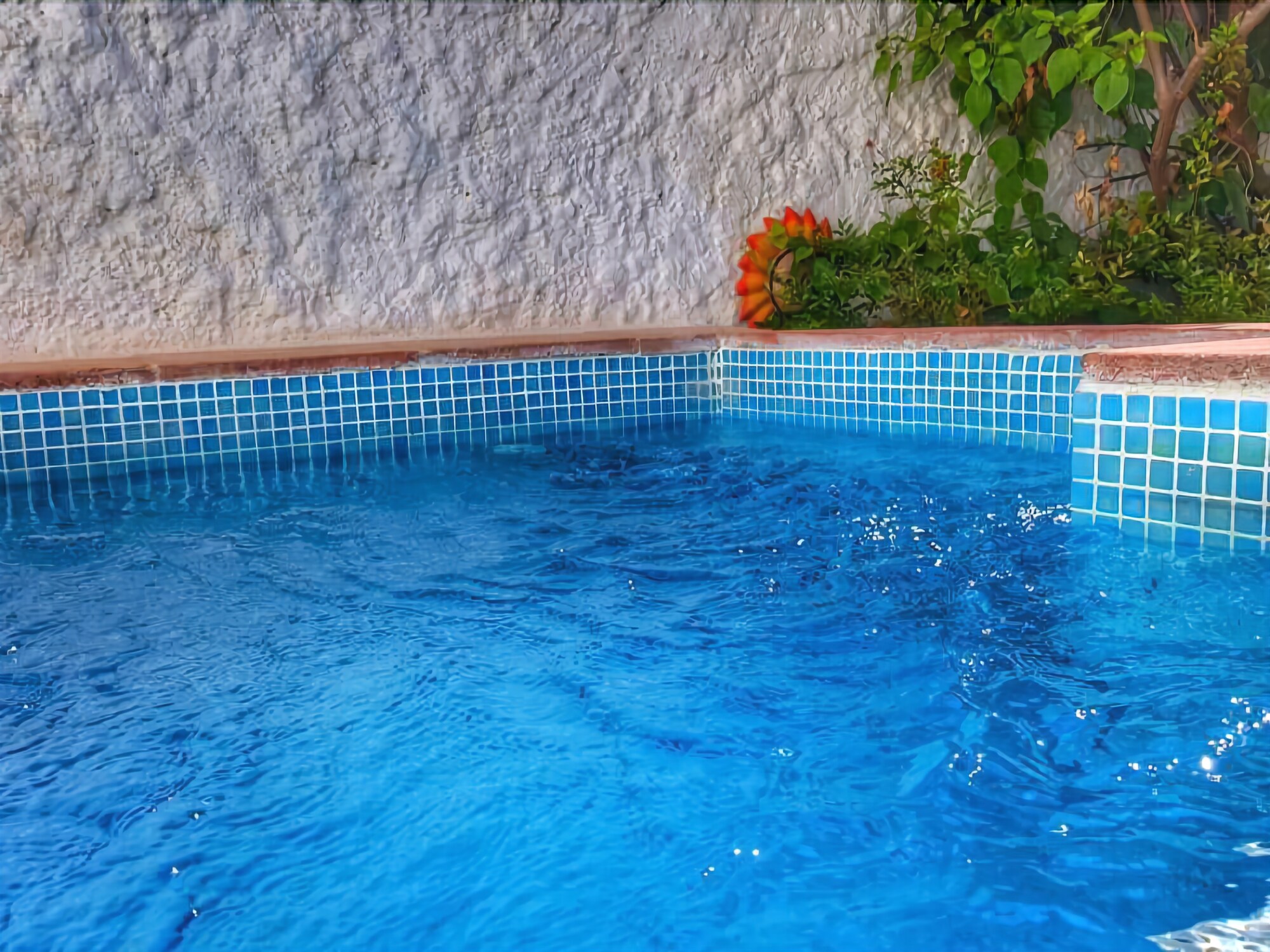Casa Jazmin Carabeo