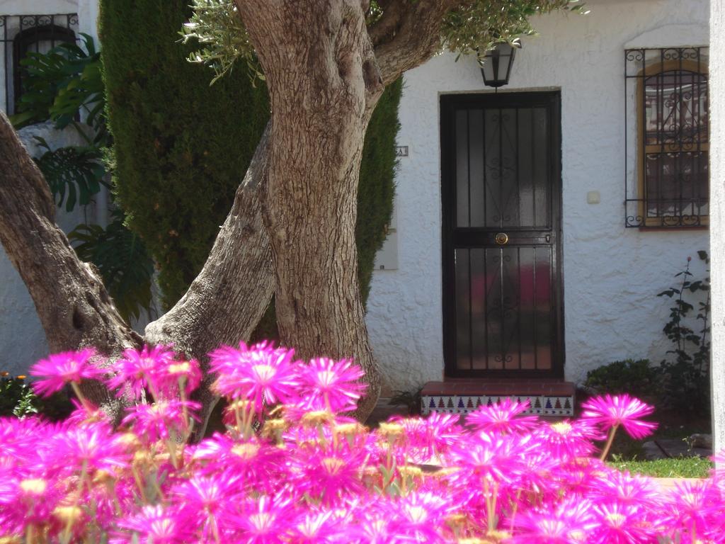 El Capistrano Sur