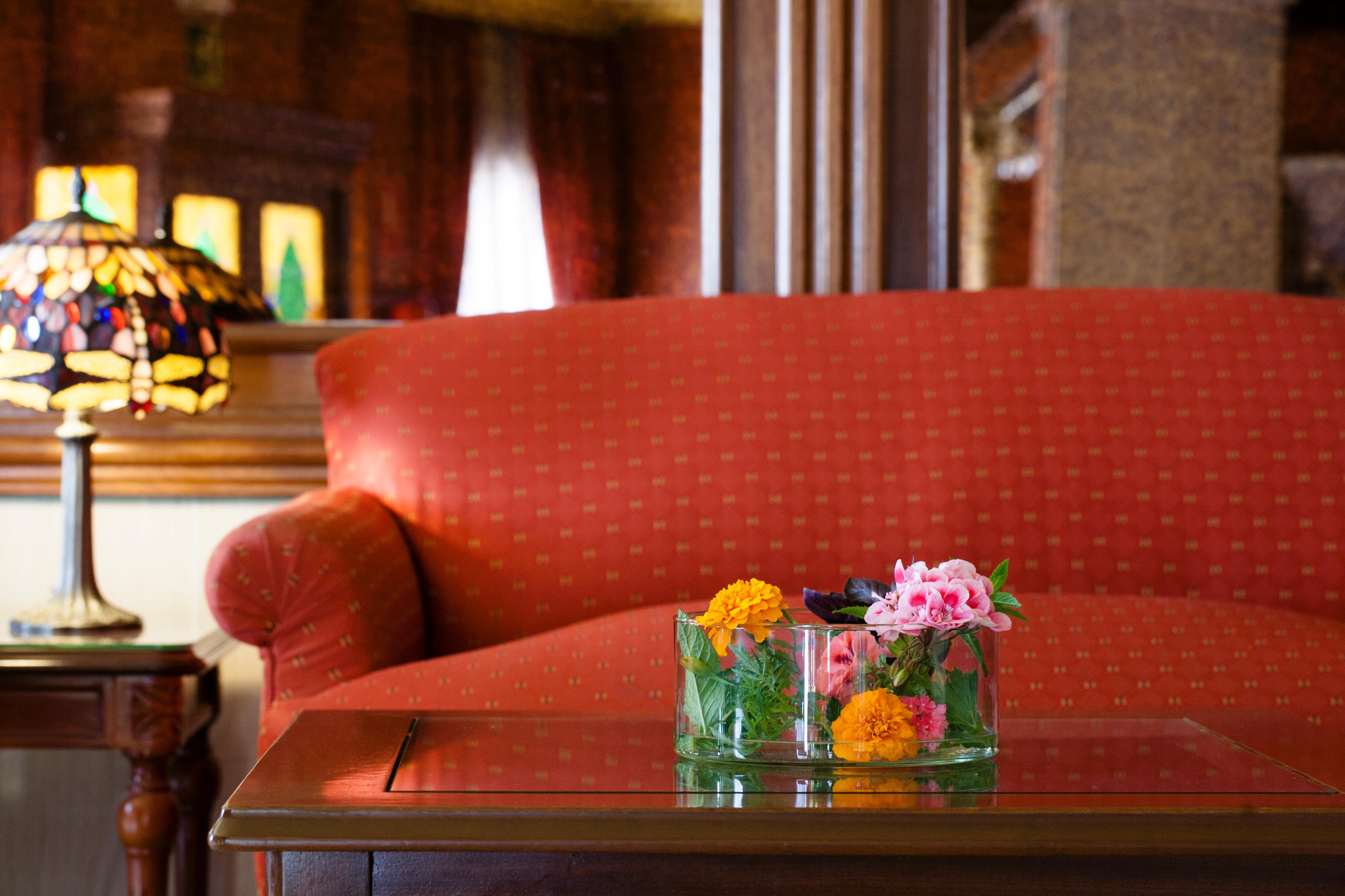 Hotel Plaza Cavana