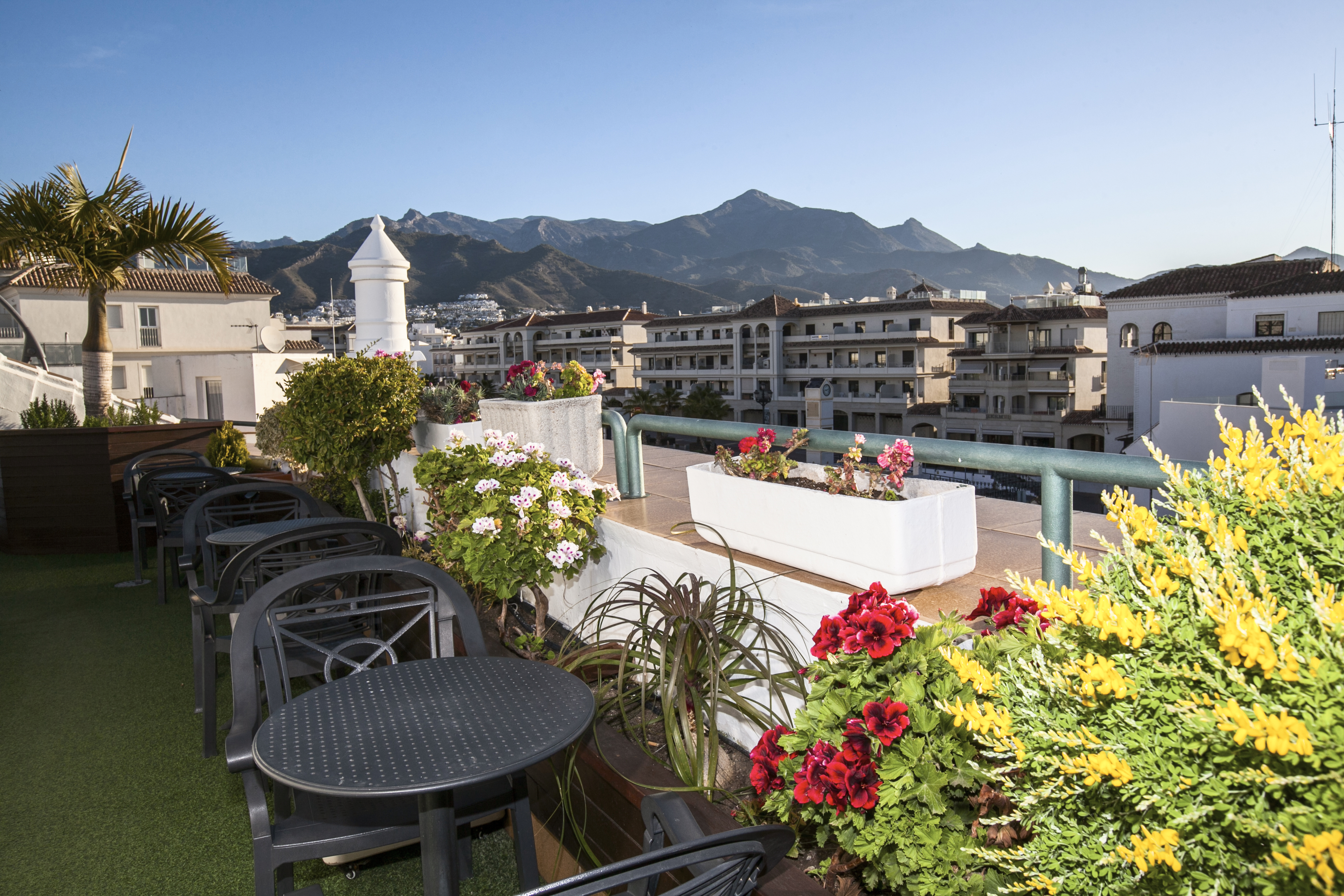 Hotel Plaza Cavana