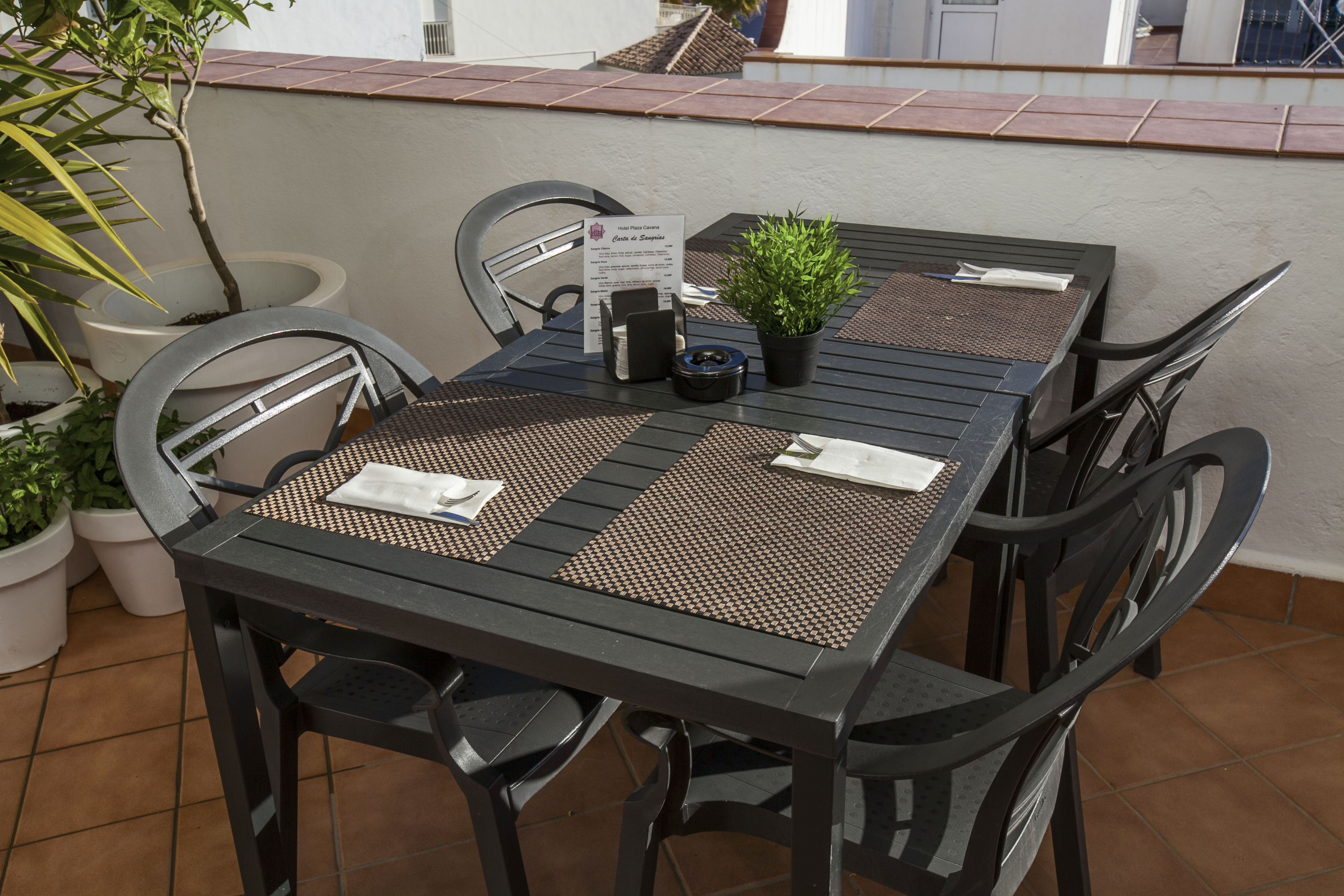 Hotel Plaza Cavana