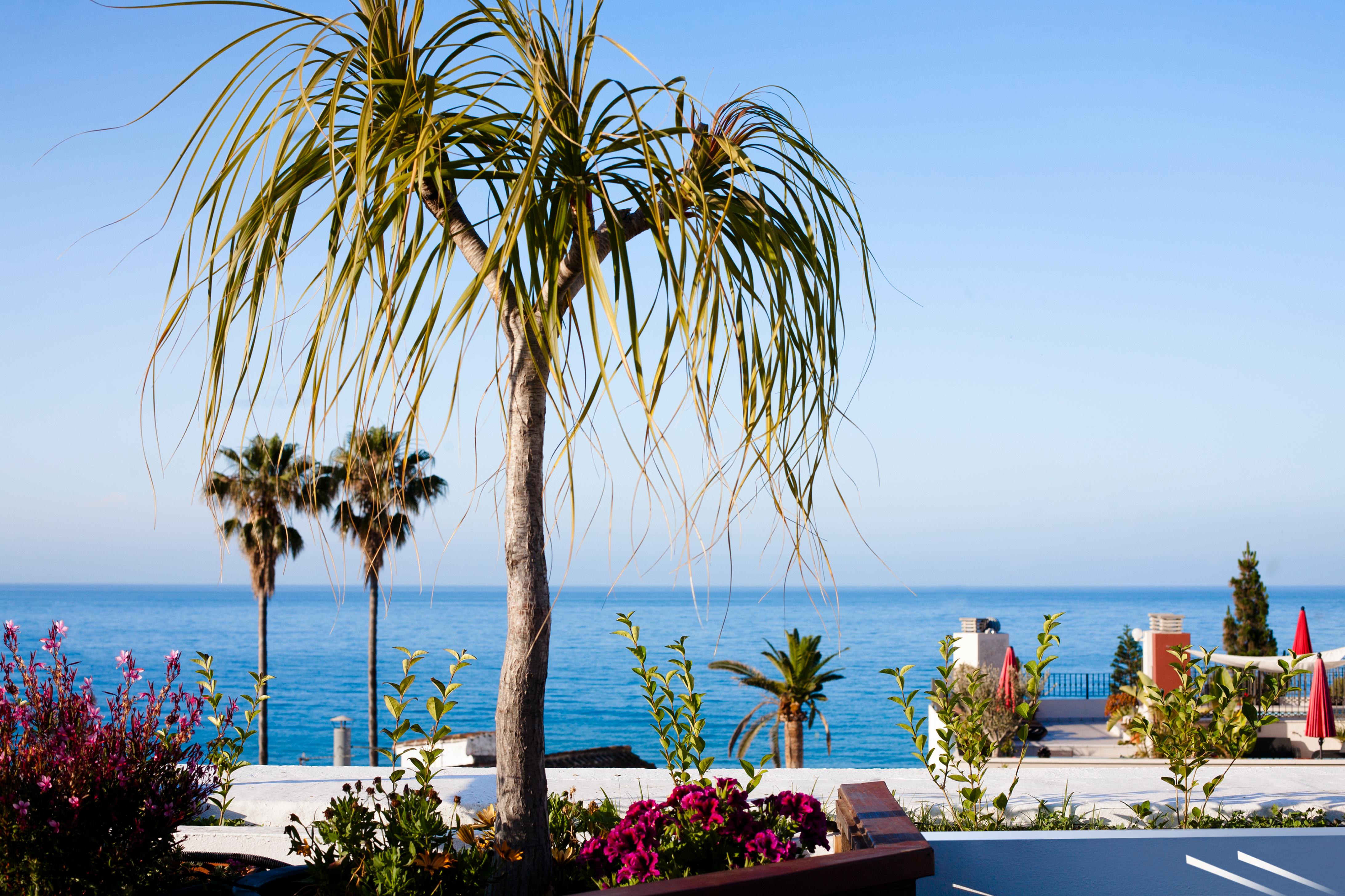 Hotel Plaza Cavana