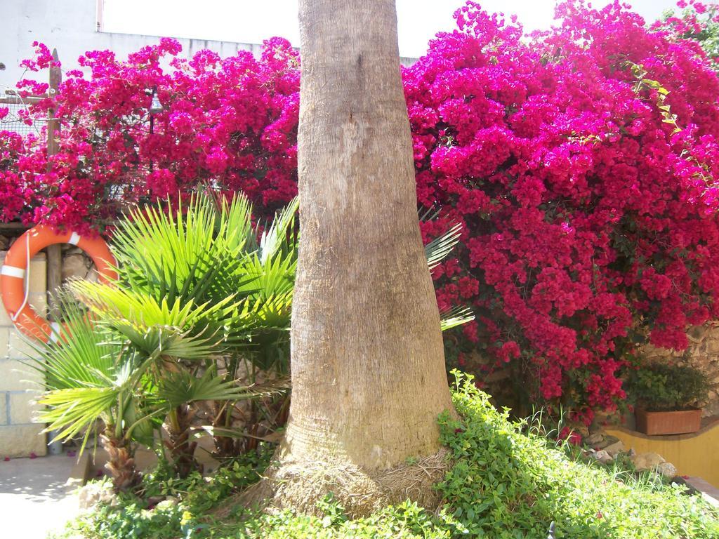Lorca