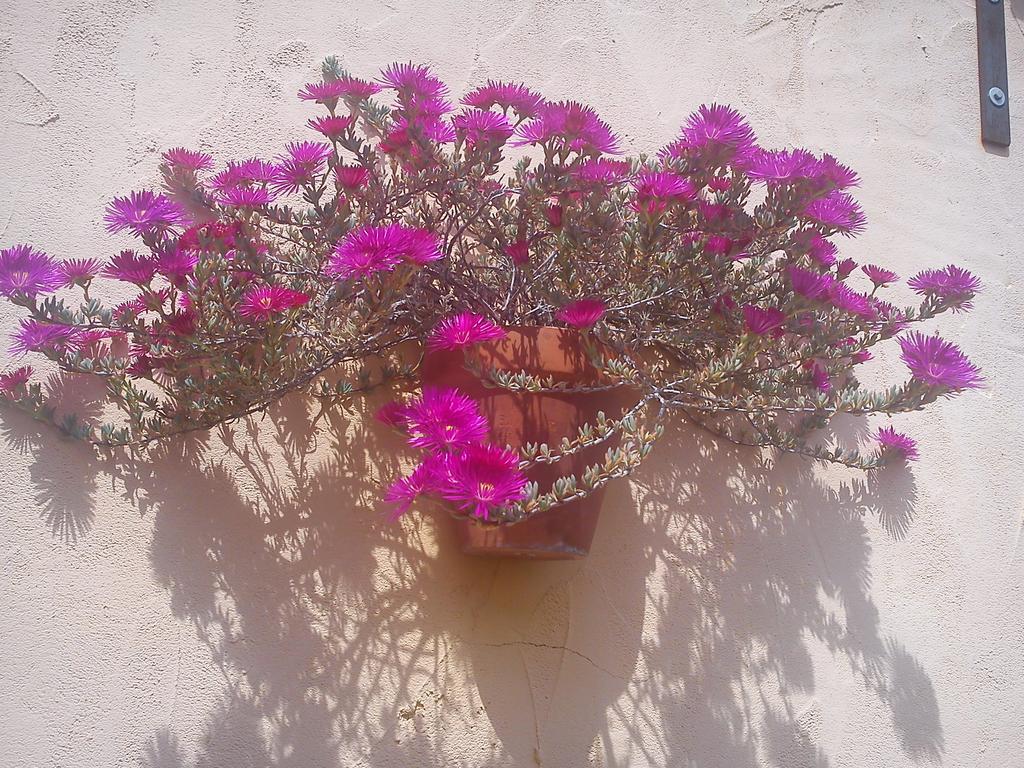 Lorca