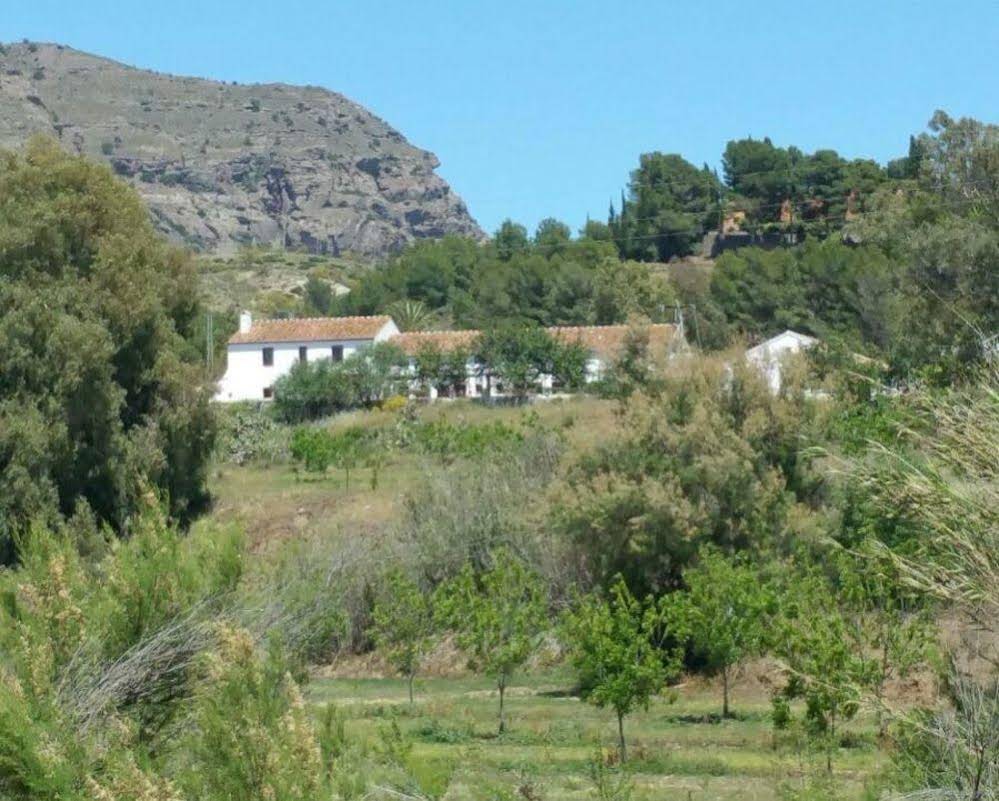 Cortijo del Arte