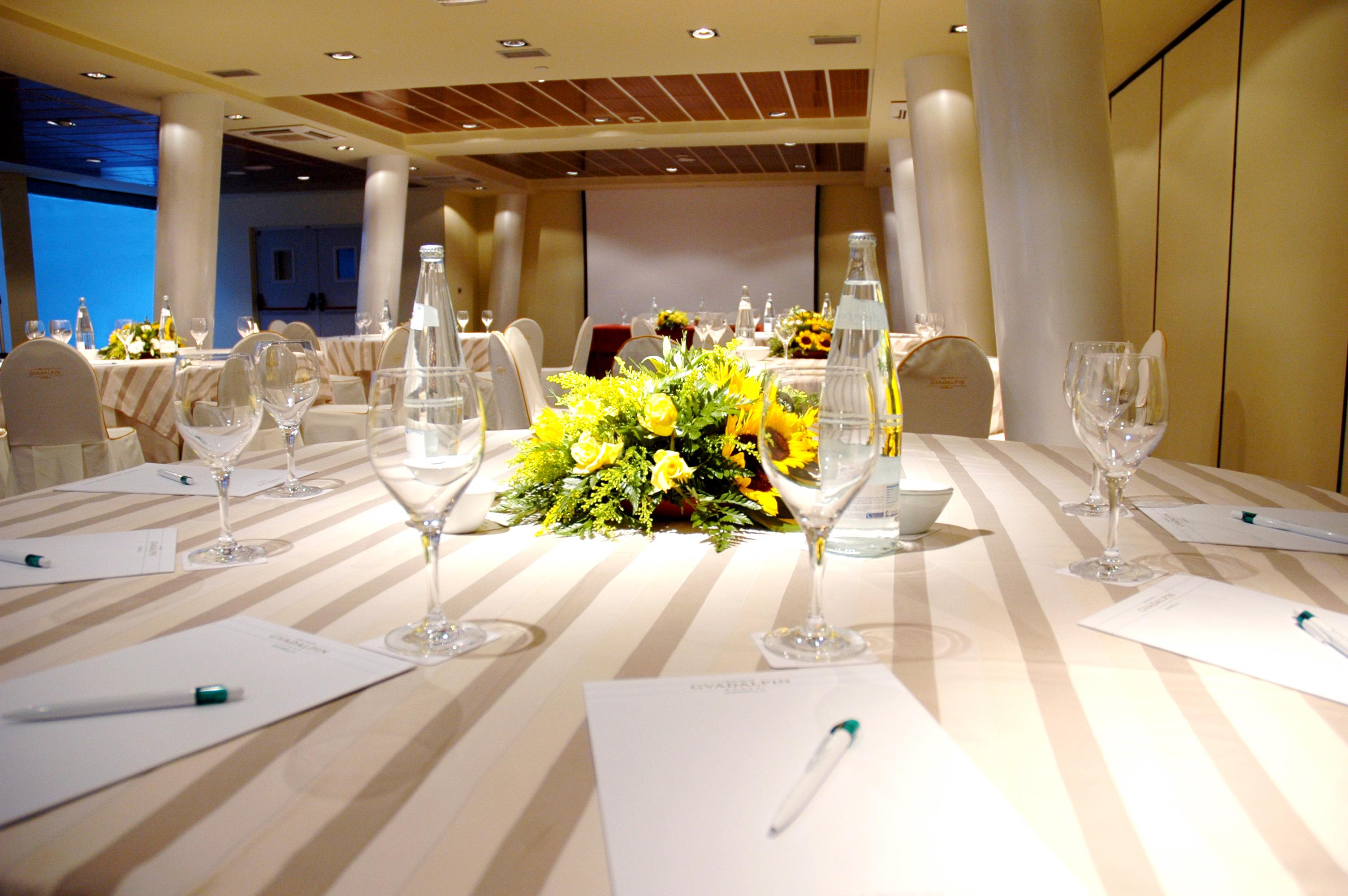 Gran Hotel Guadalpin Banus