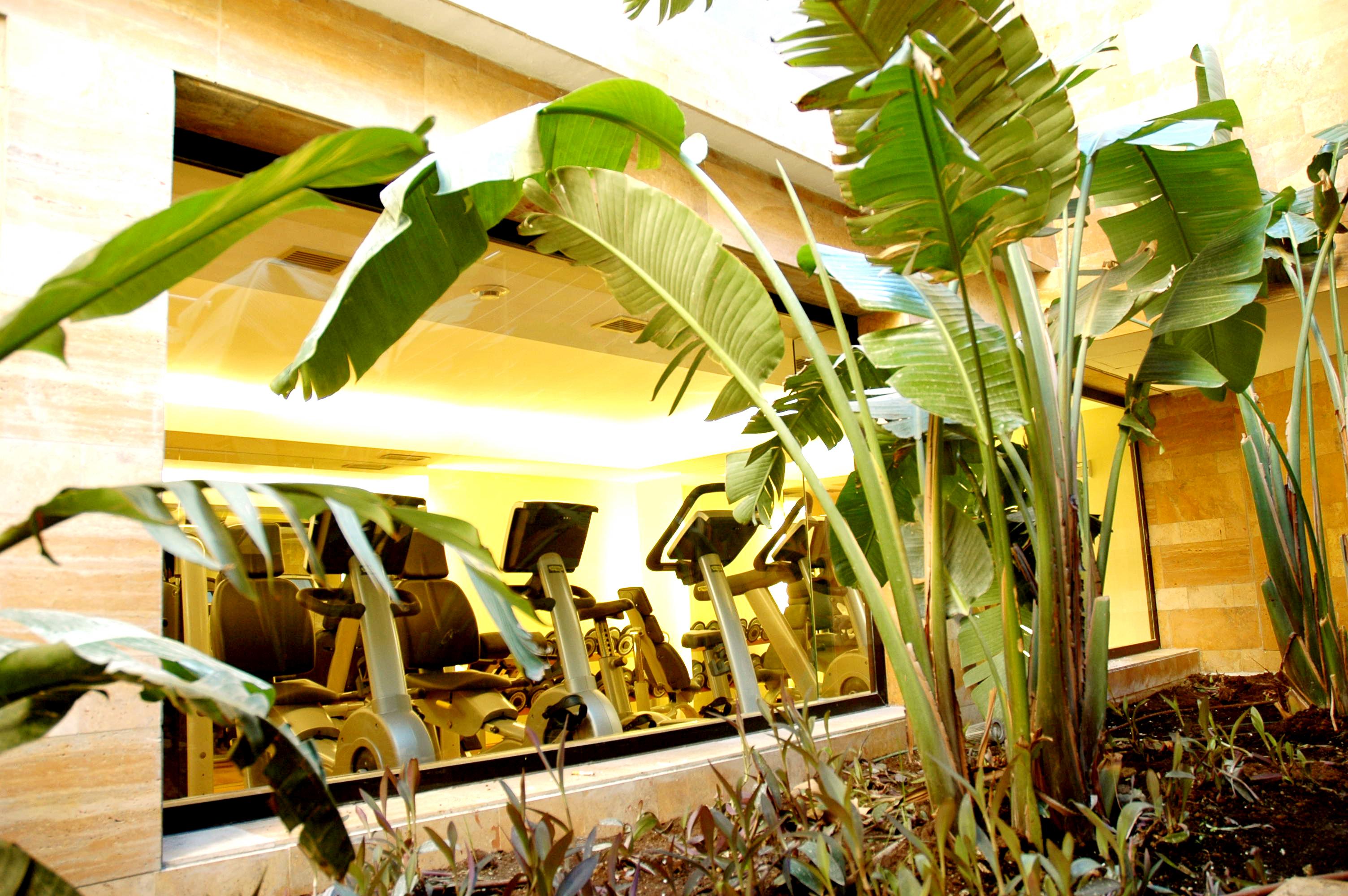 Gran Hotel Guadalpin Banus