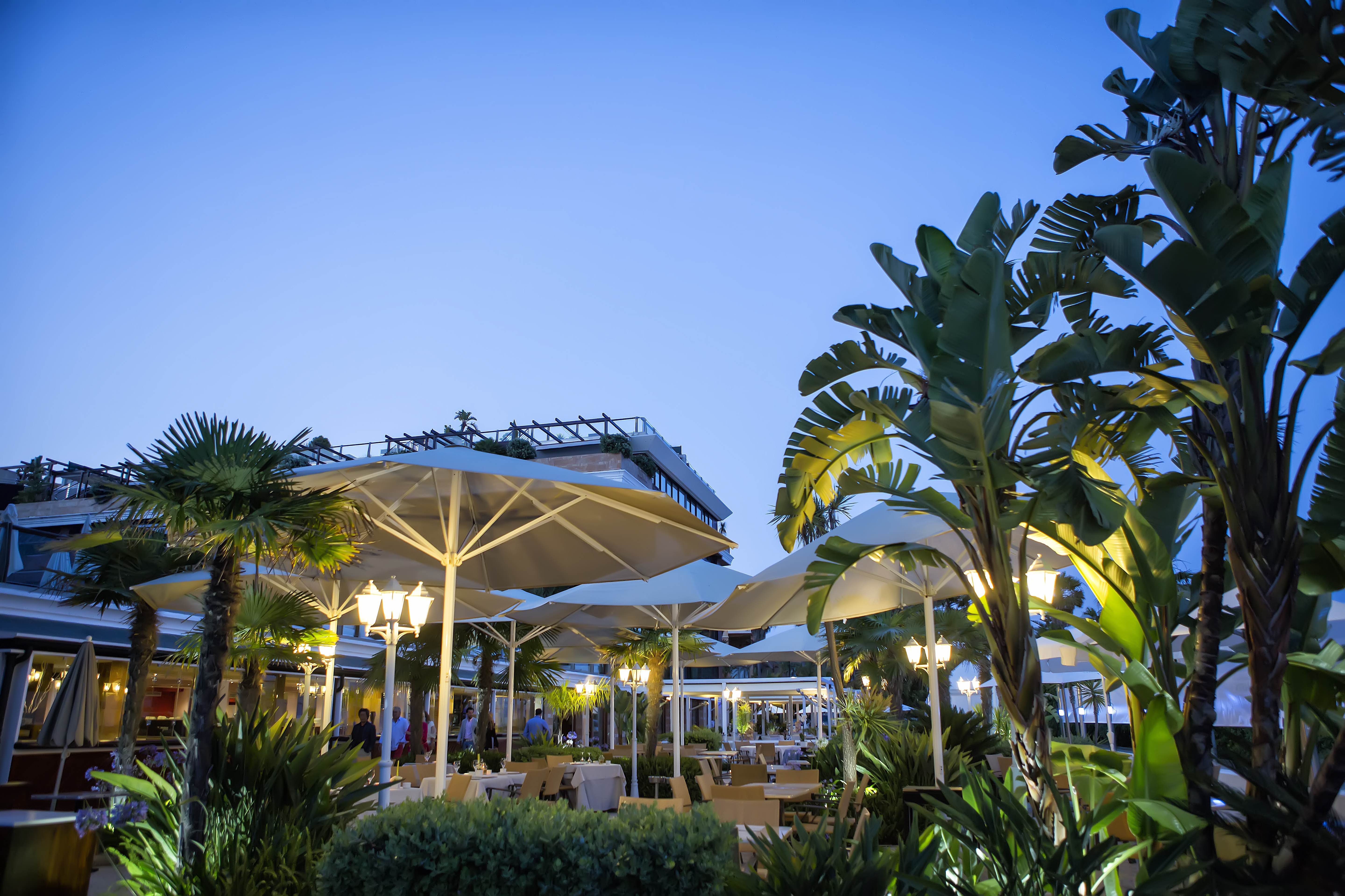 Gran Hotel Guadalpin Banus