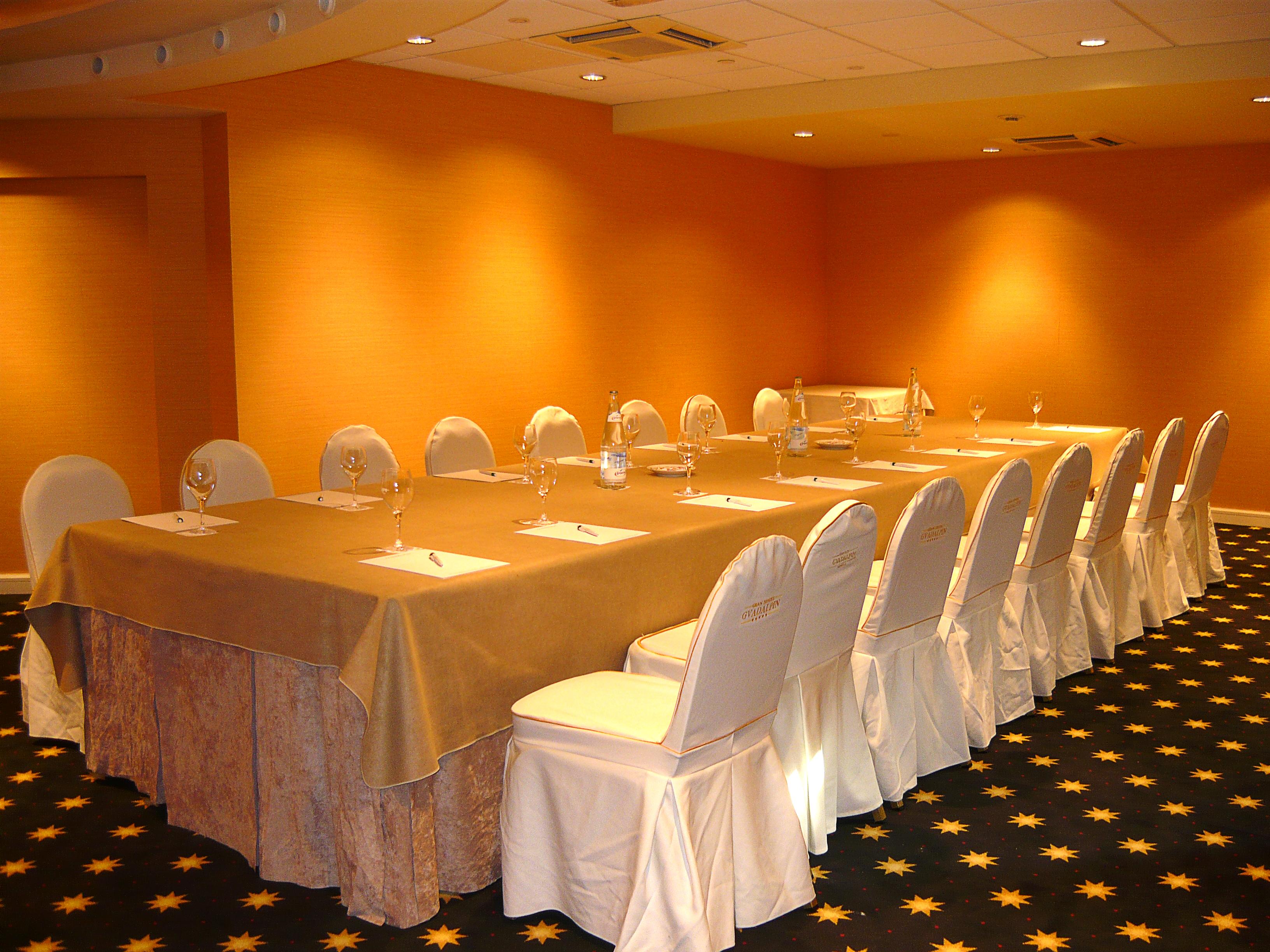 Gran Hotel Guadalpin Banus
