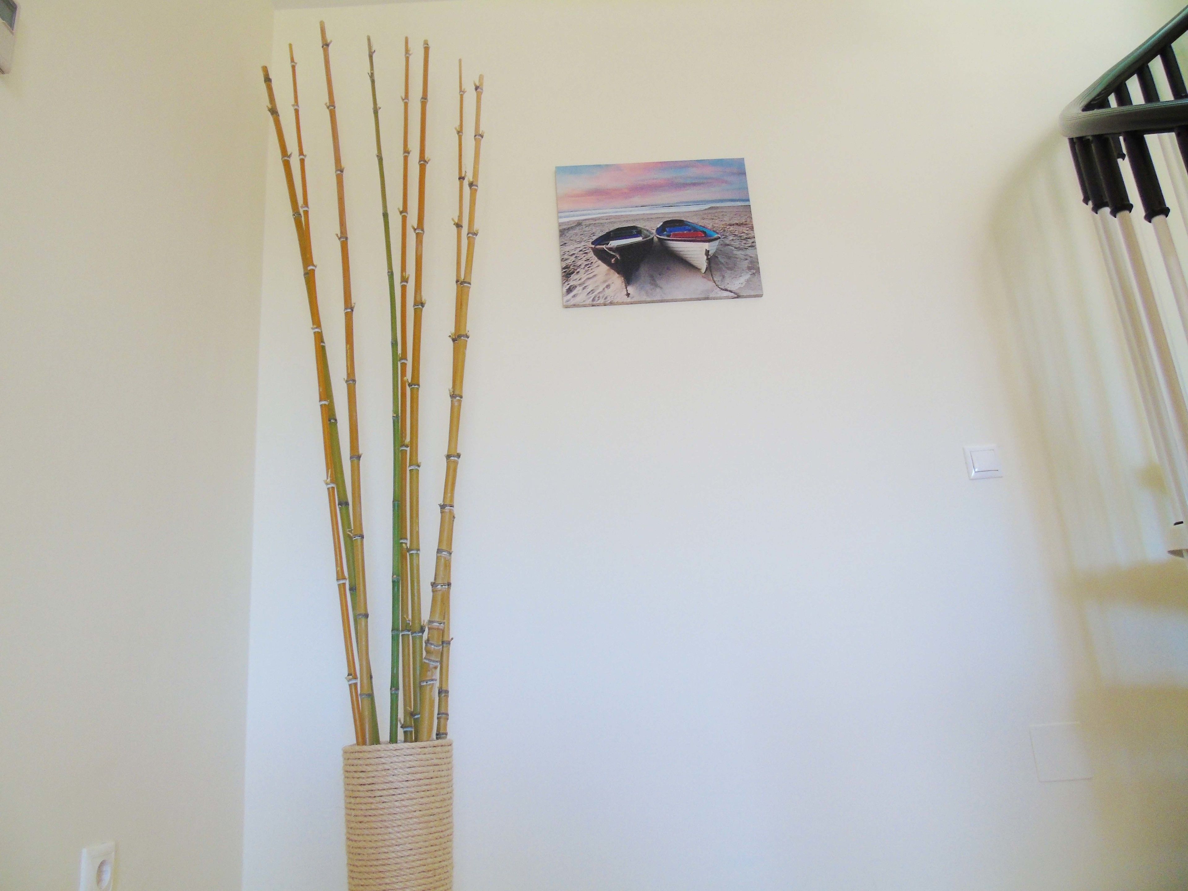 A&N Miraya by Zenhotels