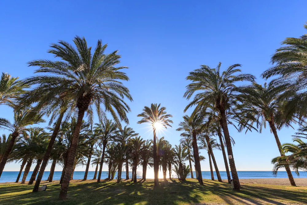 Apartamentos Candisol