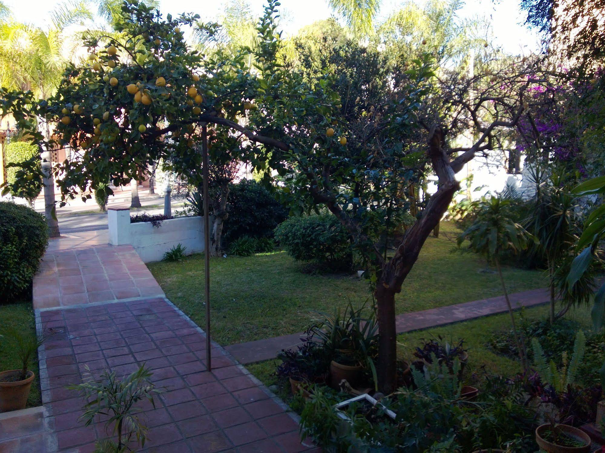 Hostal Escandinavia