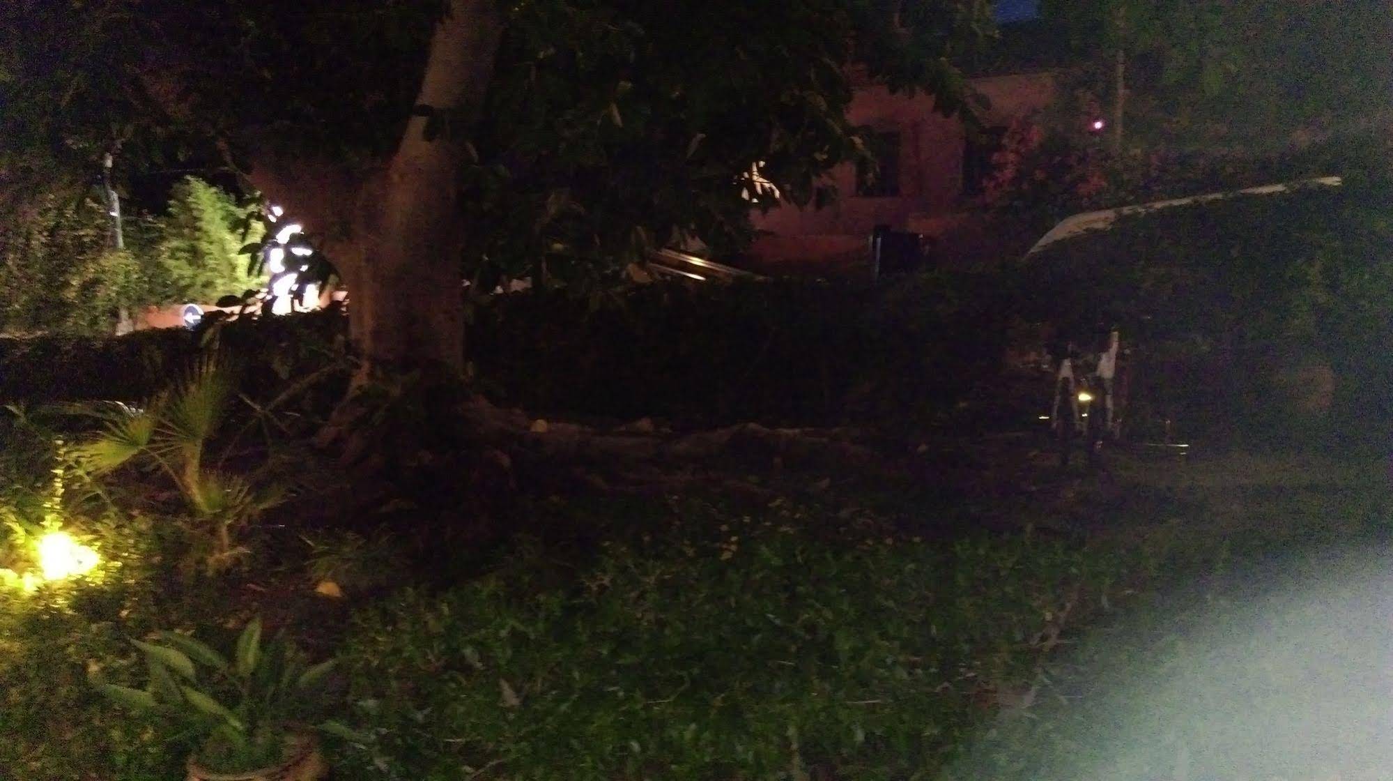 Los Geranios del Pinar Hostal