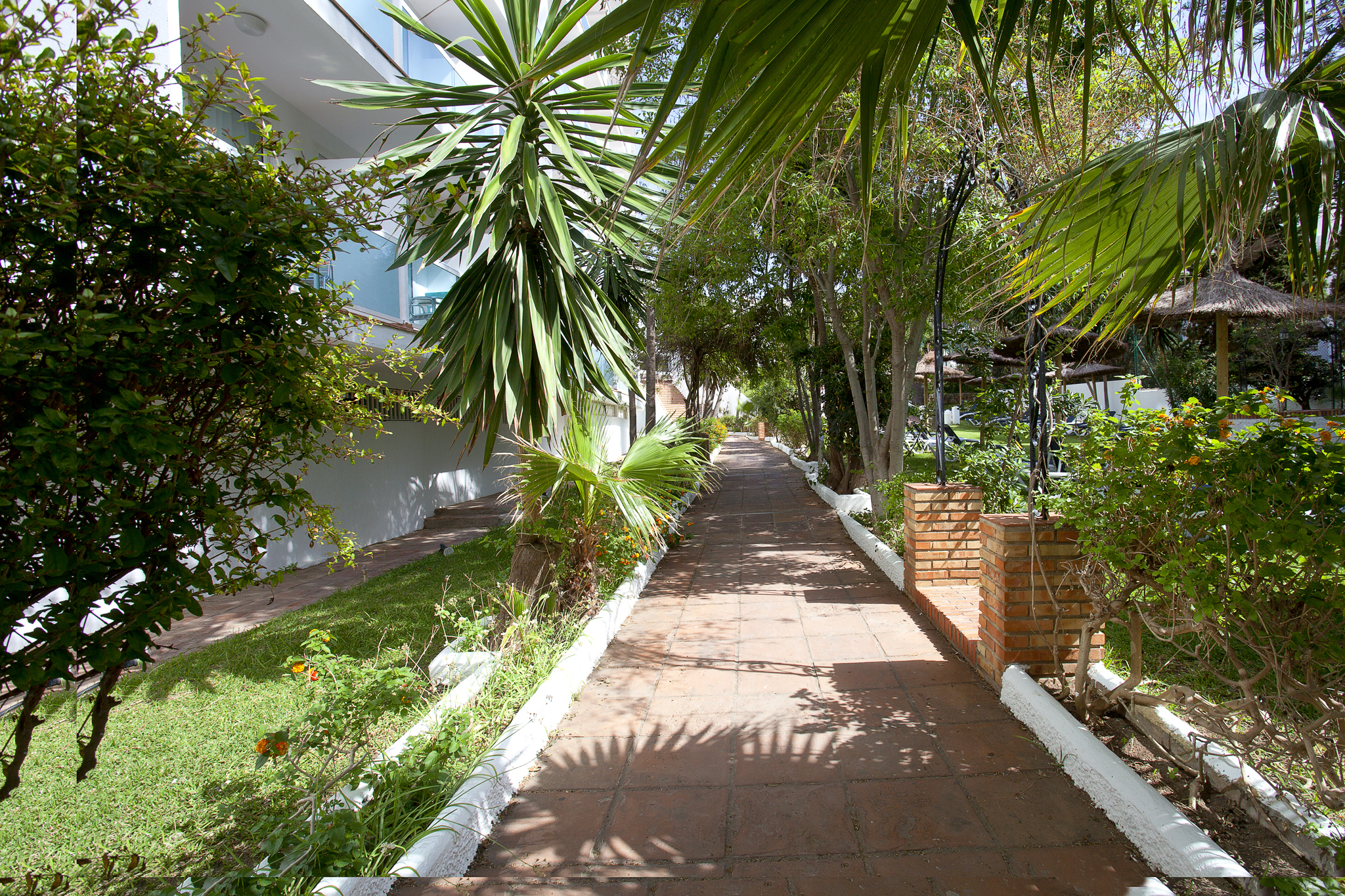 Palia Las Palomas