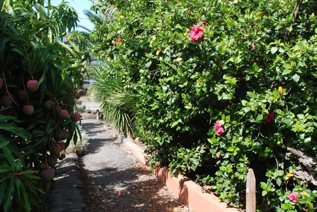 Finca Wapa