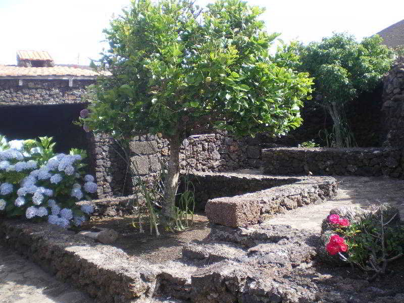 Casa Rural Aborigen Bimbache