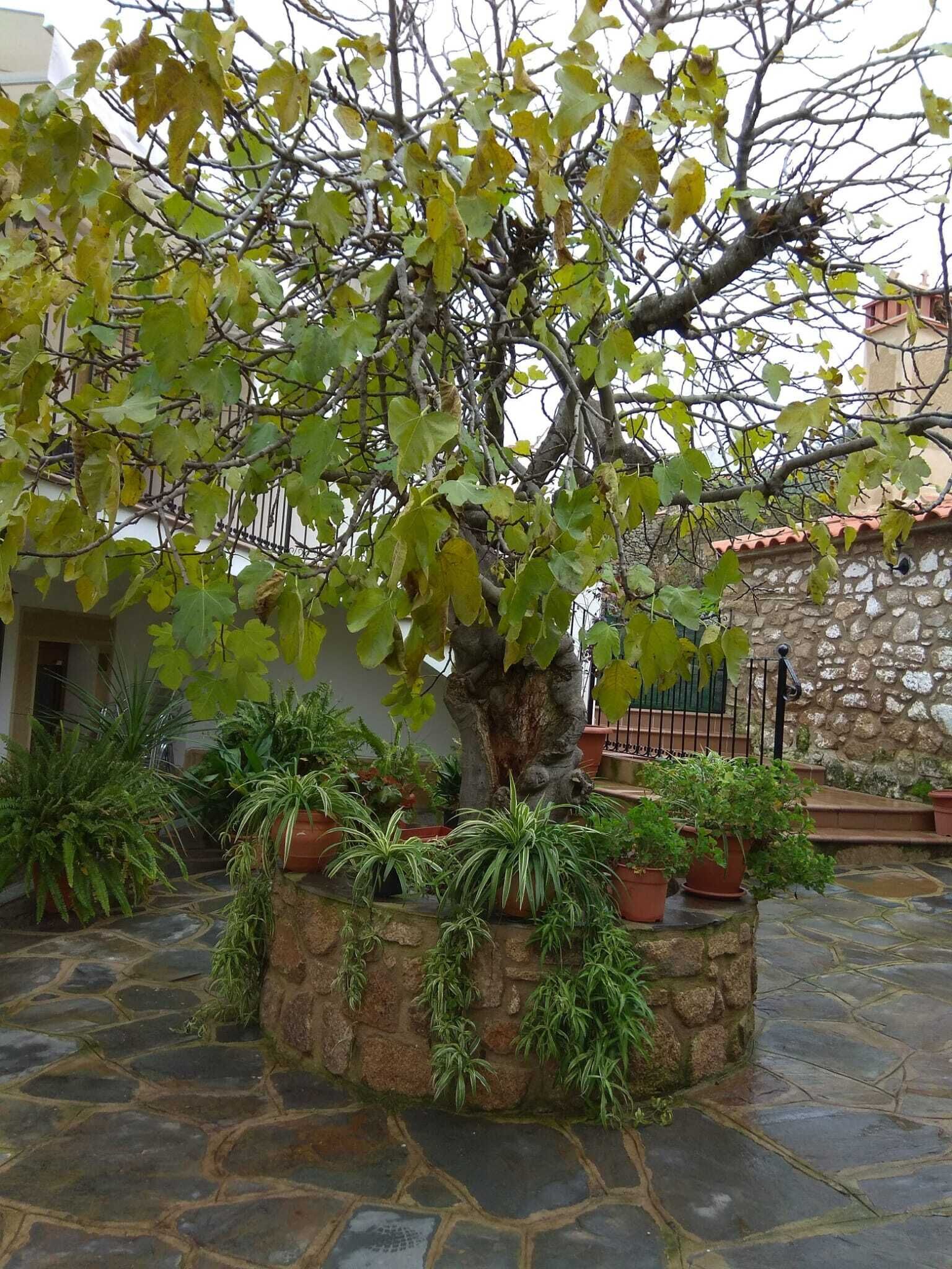 Apartamentos Rurales Tía María