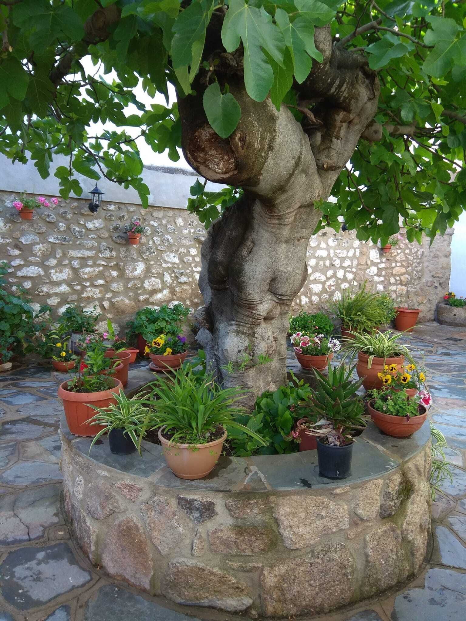Apartamentos Rurales Tía María