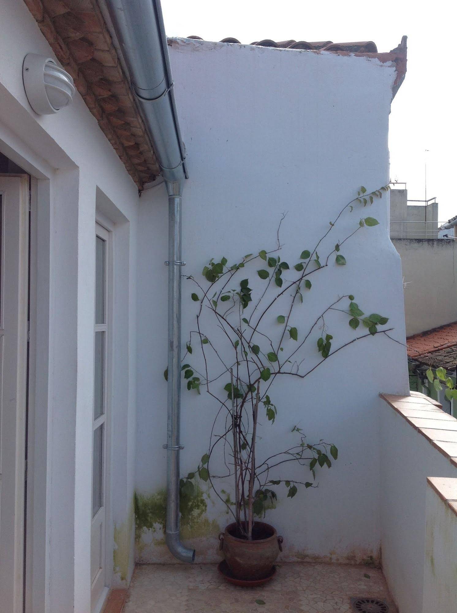 Casa Nidos